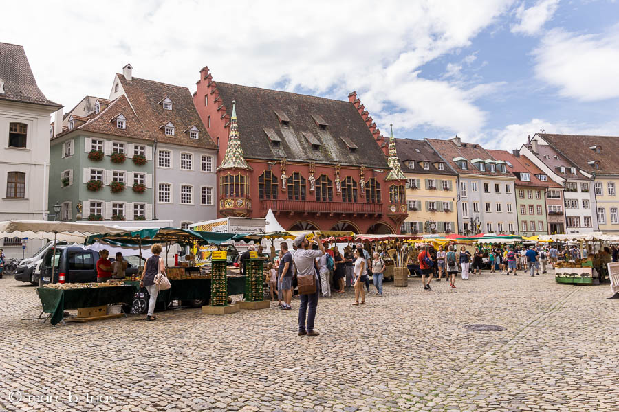 Què veure a Friburg