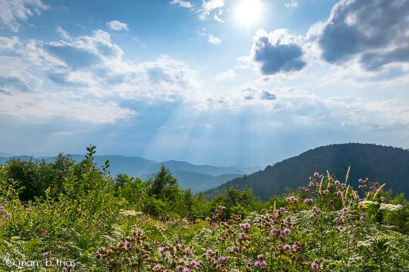 Viatge a la Selva Negra i a Alsàcia (ruta)