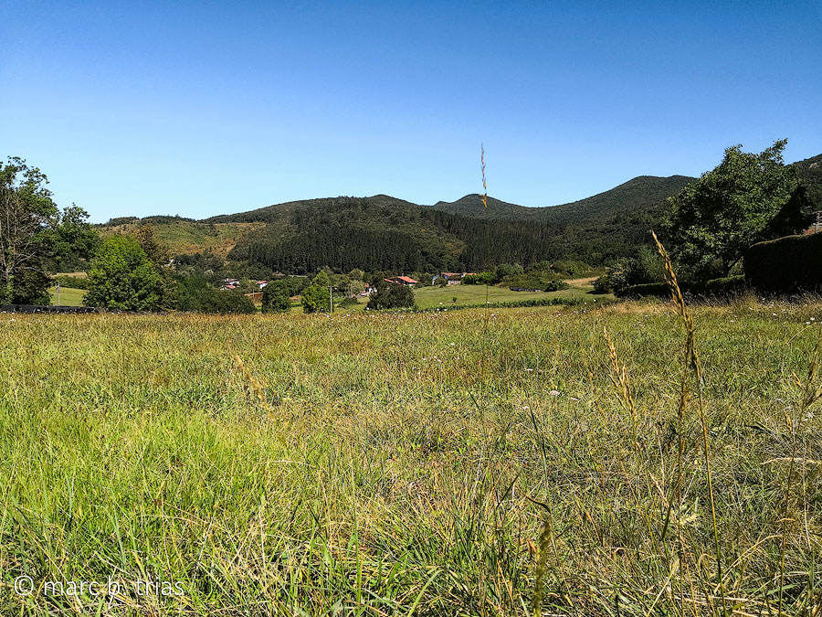 Prats rodejant el camí