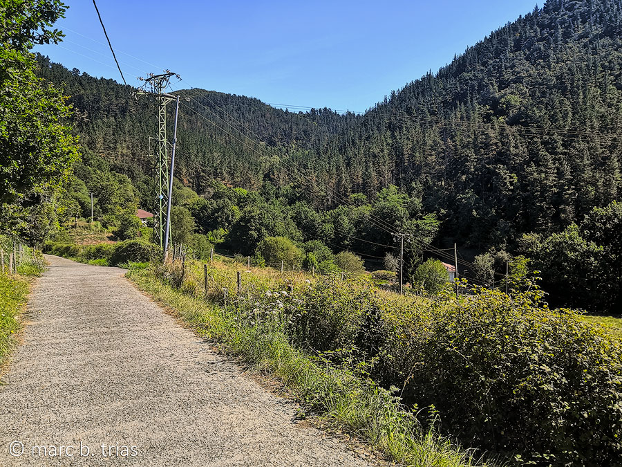 Camí que baixa cap el rierol