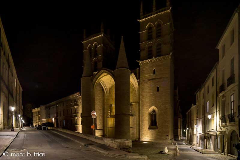 Catedral de Sant Pere de nit