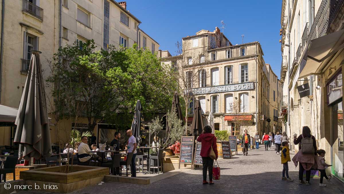 Què veure a Montpeller